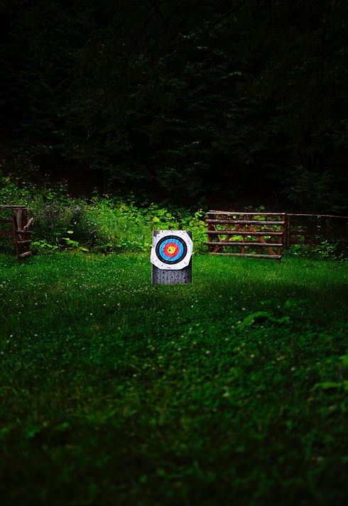 Image by Mihai Lazăr