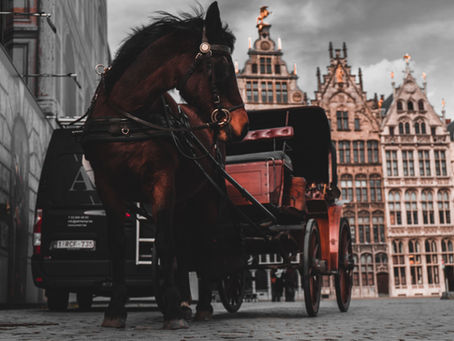 The Great Horse Manure Crisis of 1894
