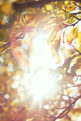 Image by Maria Lupan