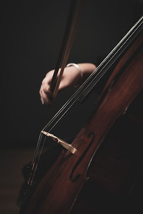 Image by Xingchen Yan