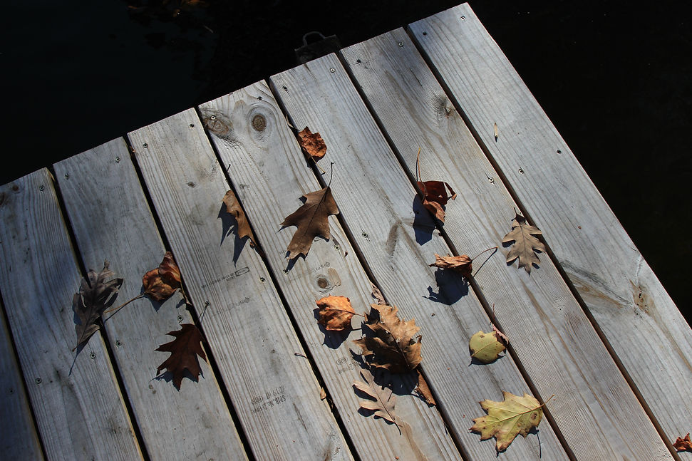 Image by Jordan Collins. Brown leaves on a wood dock.