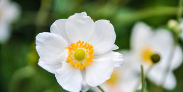 Image by Sarah Baker