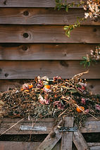 Image by Edward Howell