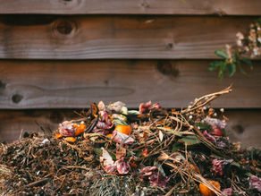 Using Diatomaceous Earth in Compost