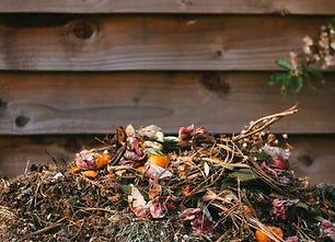 Image by Edward Howell