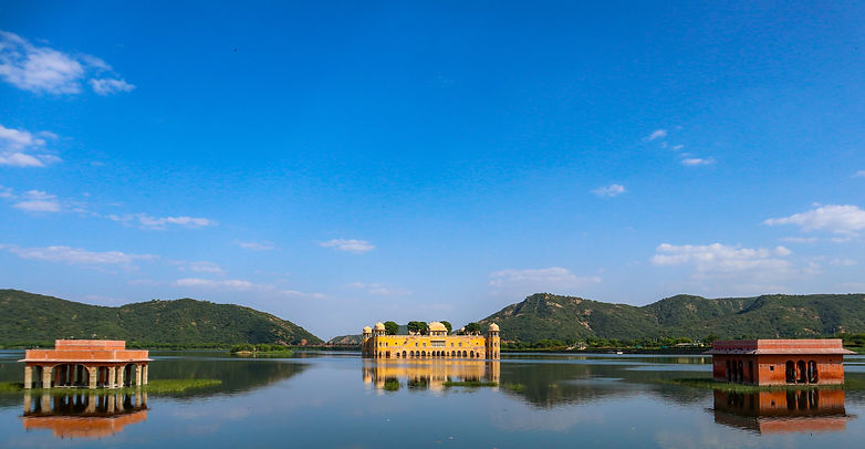 Image by Sreehari Devadas
