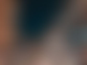 VIP NYC Transfers - Travel Tips for Selecting a Private Chauffeur in NYC