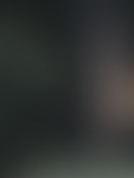 Aparecen Ciervos infectados por covid-19