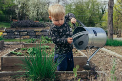 Gardening