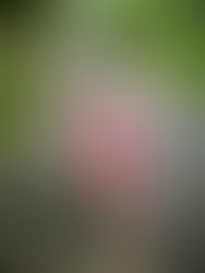 De smartphone is zoals een fiets