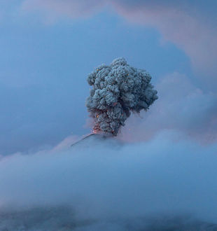 Image by Alex Person