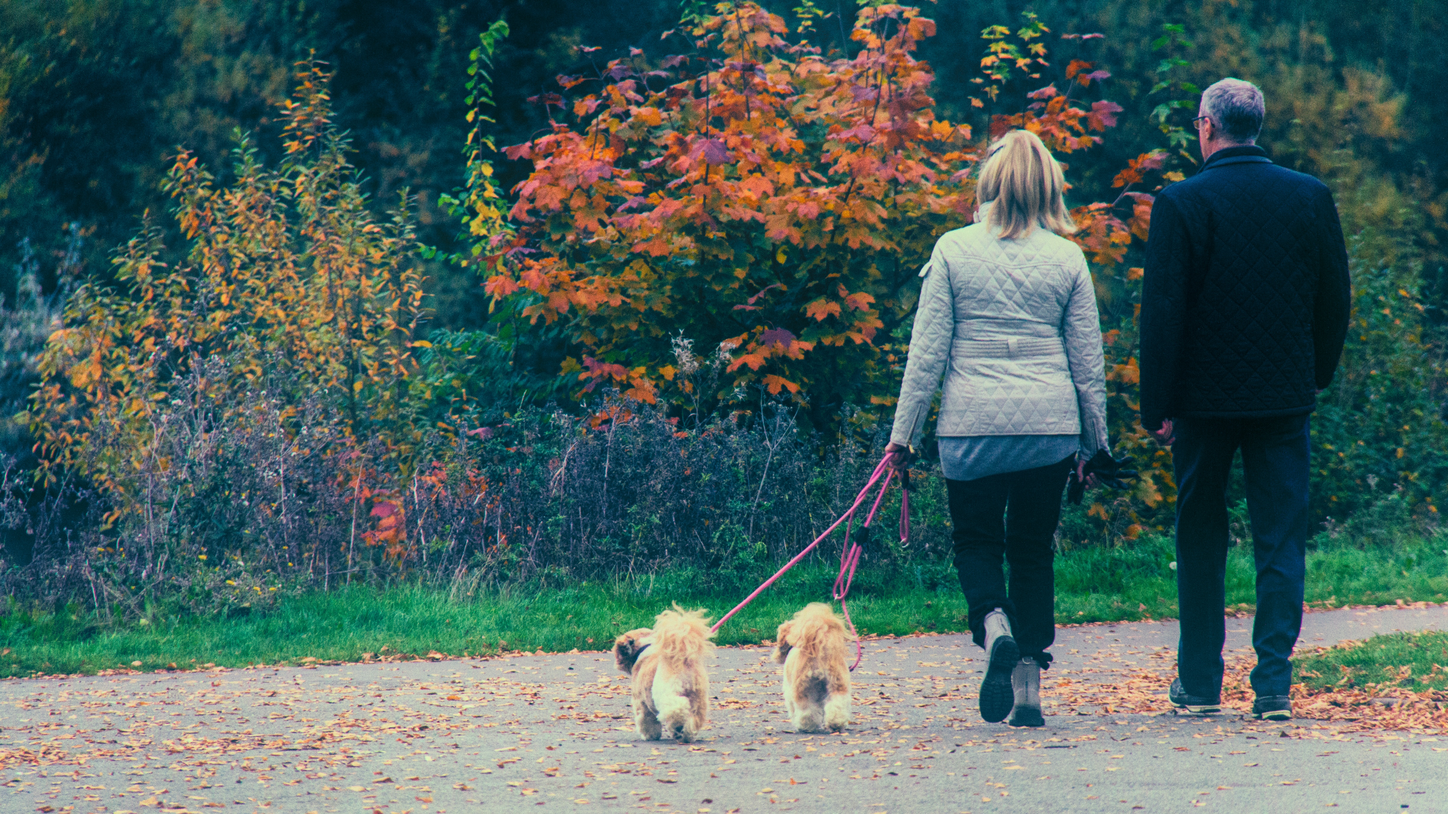 4 Benefits of Walking After a Meal