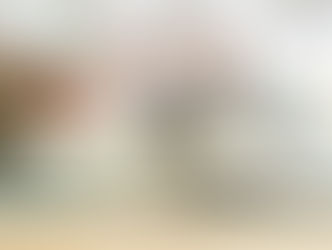 Ashoka and the rise of social entrepreneurship as a civic force