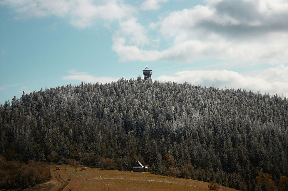 Image by Dominik Bednarz