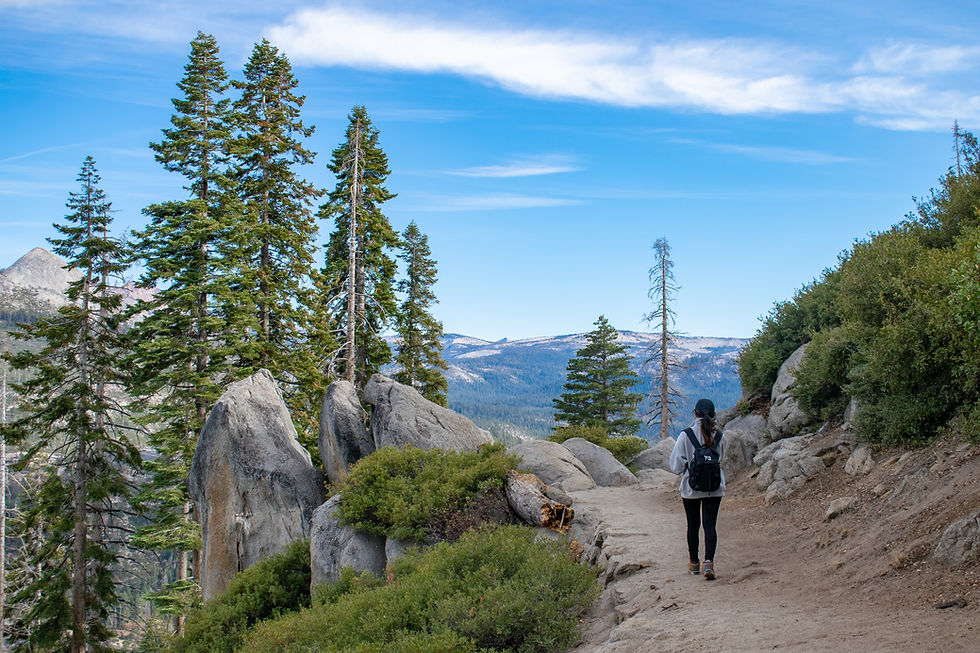 trail hiker