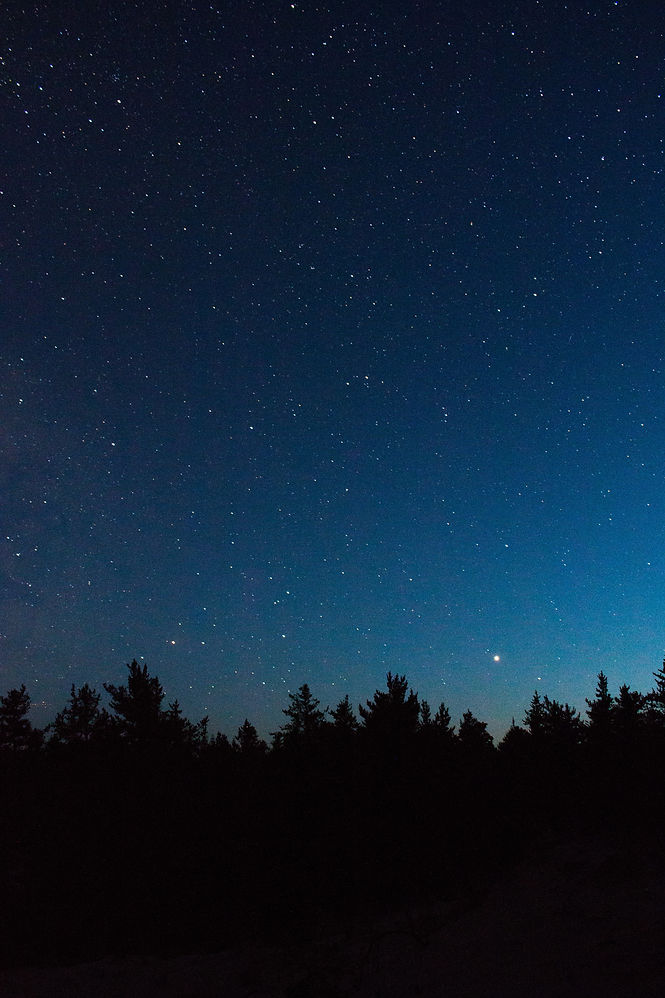 Image by Brad Mann