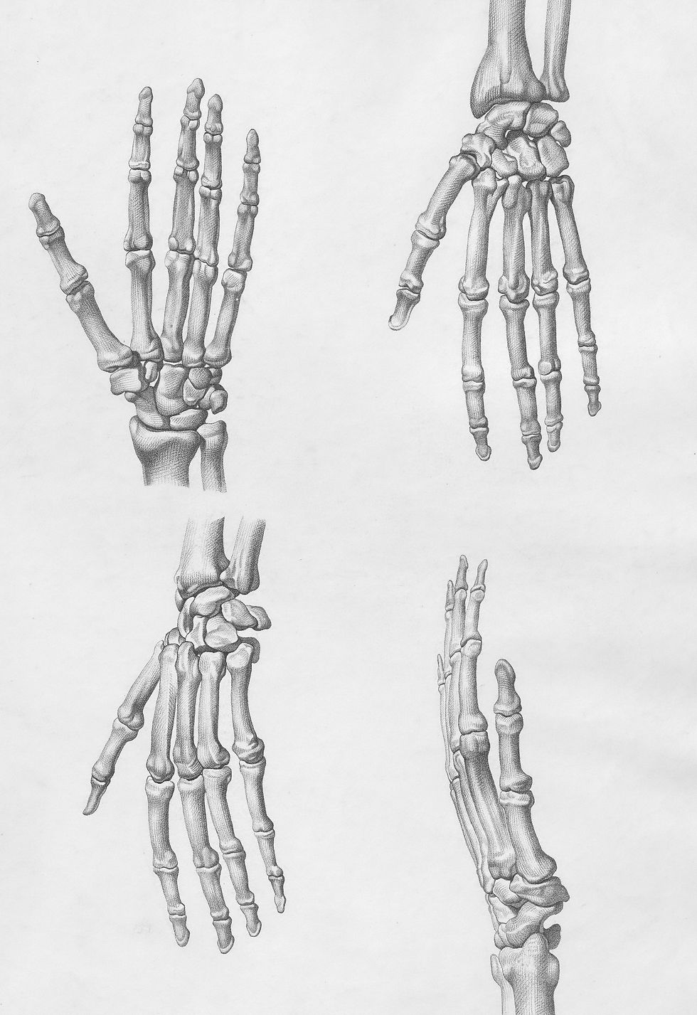 Image by Europeana