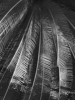 ヨガ哲学の正体は「世界観」ではなく「整える技術」