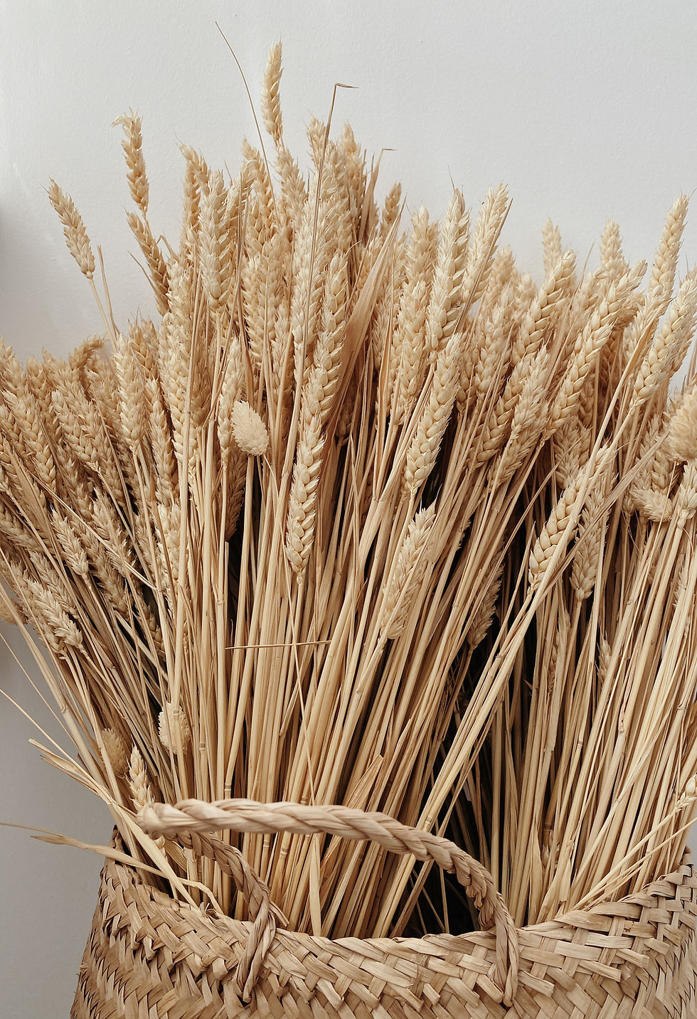 Tidbits, Market Comment & Wheat Pricing, E15 Legislation, PPI, Broilers & Ethanol 5/14/26