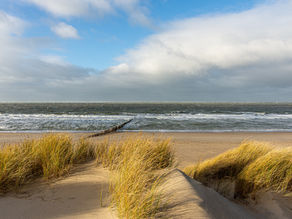 Vanlife, Garnelen & gute Freunde am Meer