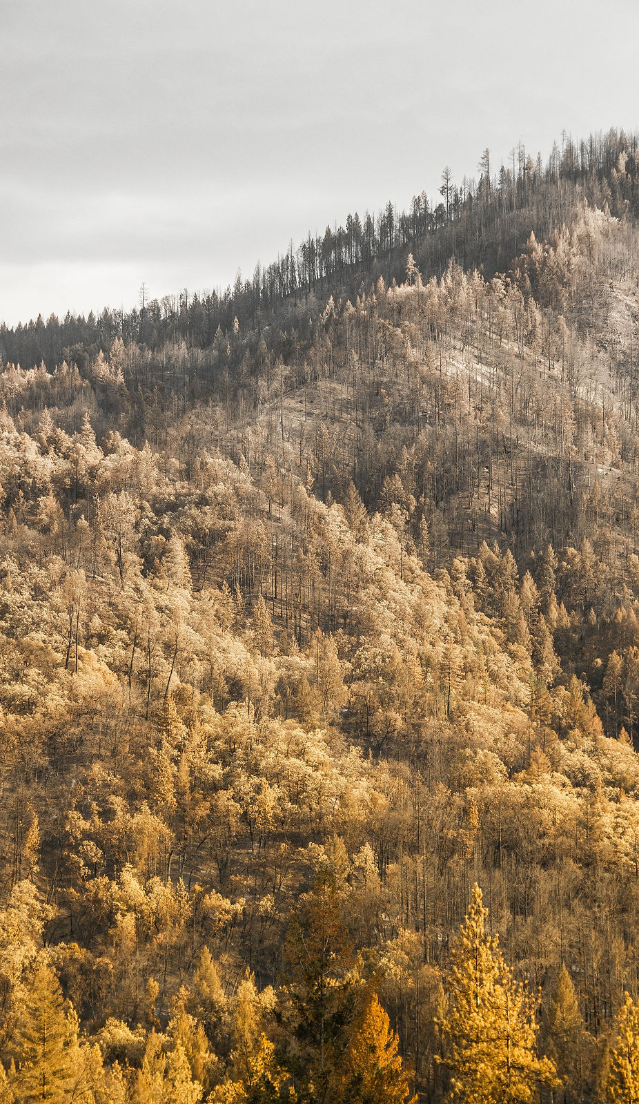 Image by Andreas Haslinger