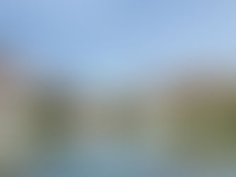 Grand Floridian Review: Is It Worth the Money?