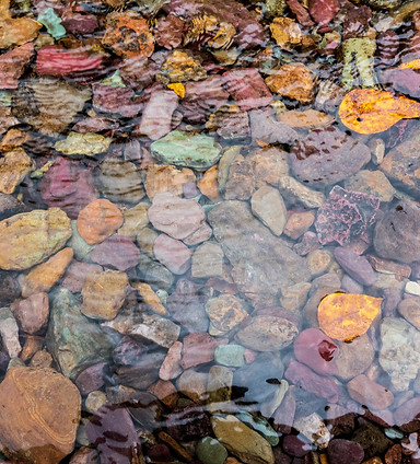 Image by Hari Nandakumar