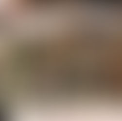 Luzes, Mercados e Sabores: O Roteiro do Natal (2025)