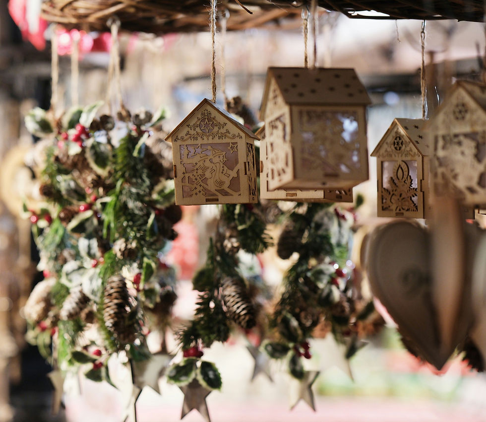 Blue Danube Christmas market cruise excursion to Salzburg