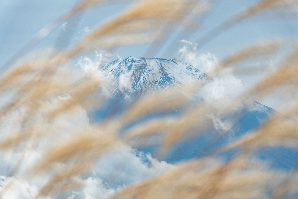 Image by Philip Demir