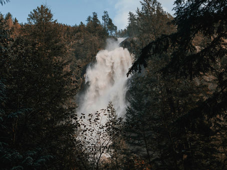 Shimmering Shannon Falls