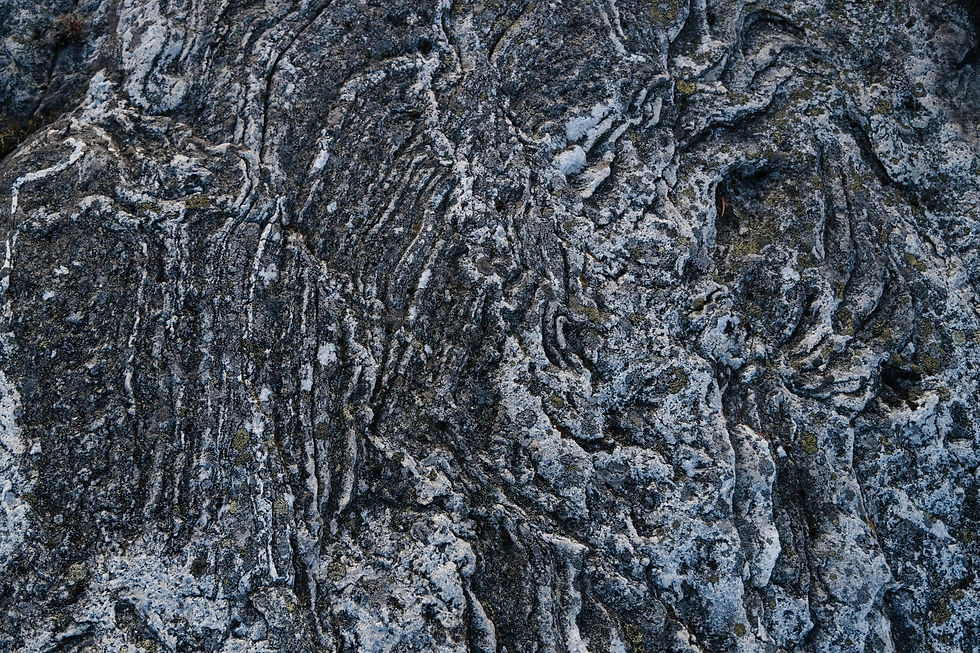 Close-up of textured rock surface with intricate gray and white patterns. The rock's rough texture and swirling lines create a natural abstract design.