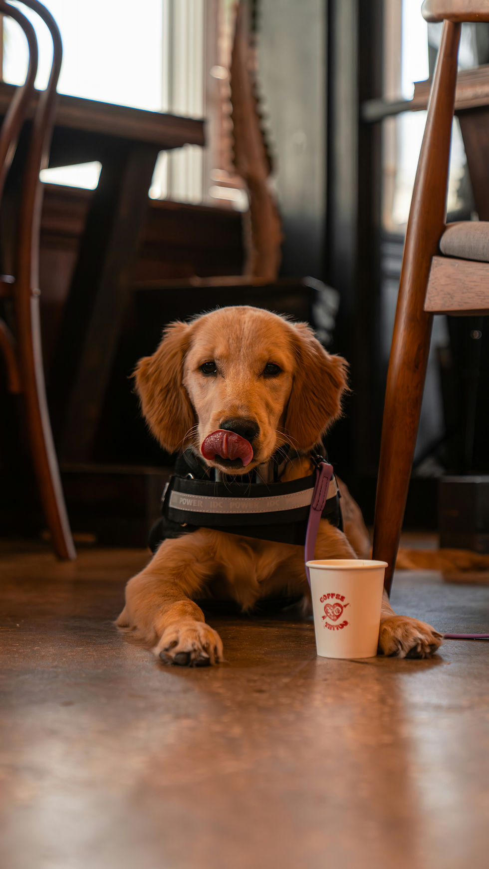 March Group Meetup #2