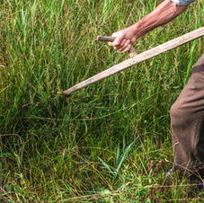 Image de Roberto Sorin