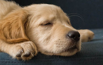 Image by Jakub Dziubak