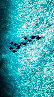 Image by Zunnoon Ahmed