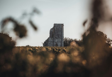 シャトー＆ワイナリー巡り