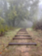 Lenten Journey