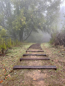 Image by Jamie Ginsberg