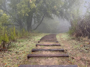 The Lenten season is upon us.