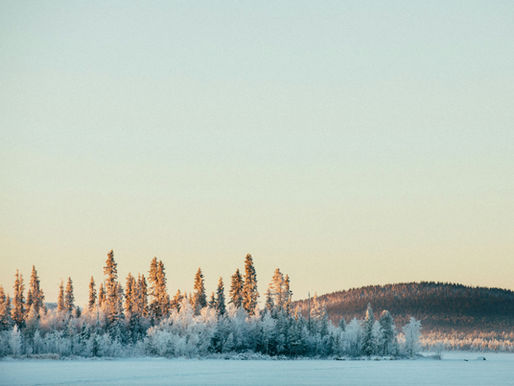 La economía en forma de K: cuando la bolsa se convierte en el motor de todo