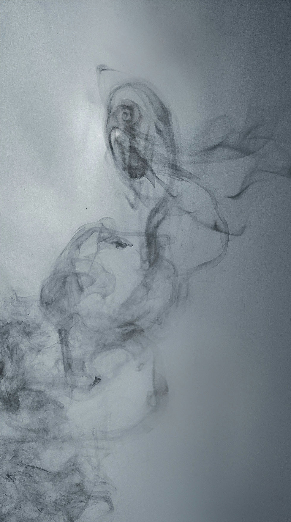 Grief, Gratitude, and the Seeds We Carry Forward
