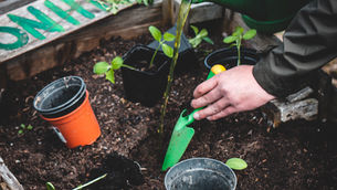 Cultivando el bienestar interior