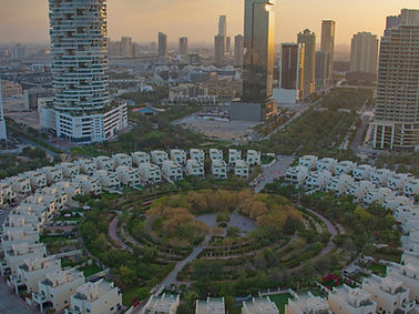 Image by Sajimon Sahadevan