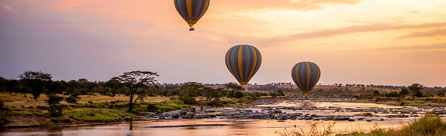 Image by Tanzania Wild Sky