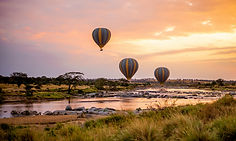 Serengeti sunset game drive led by expert German-speaking safari guide