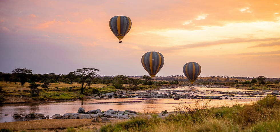 Tanzania Safari