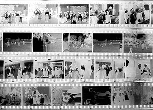 Image by Luiza Lubińska