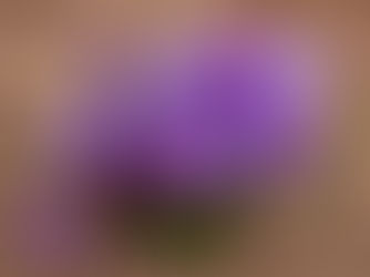 Kashmiri saffron infused royal candle