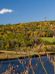 Maidstone State Park: A Camping Trip